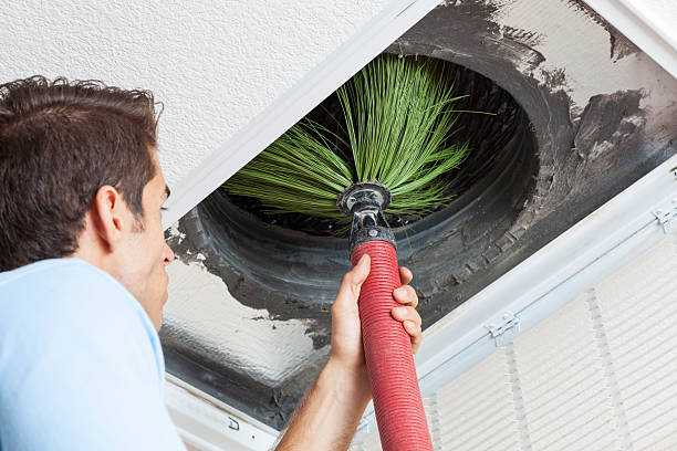 Best Air Duct Cleaning Near Me  in Lafayette, CO